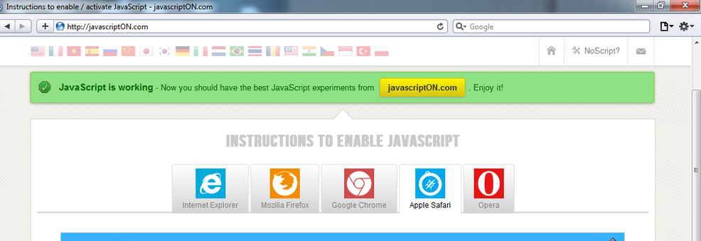 How To Enable Javascript In Google Chrome Vista